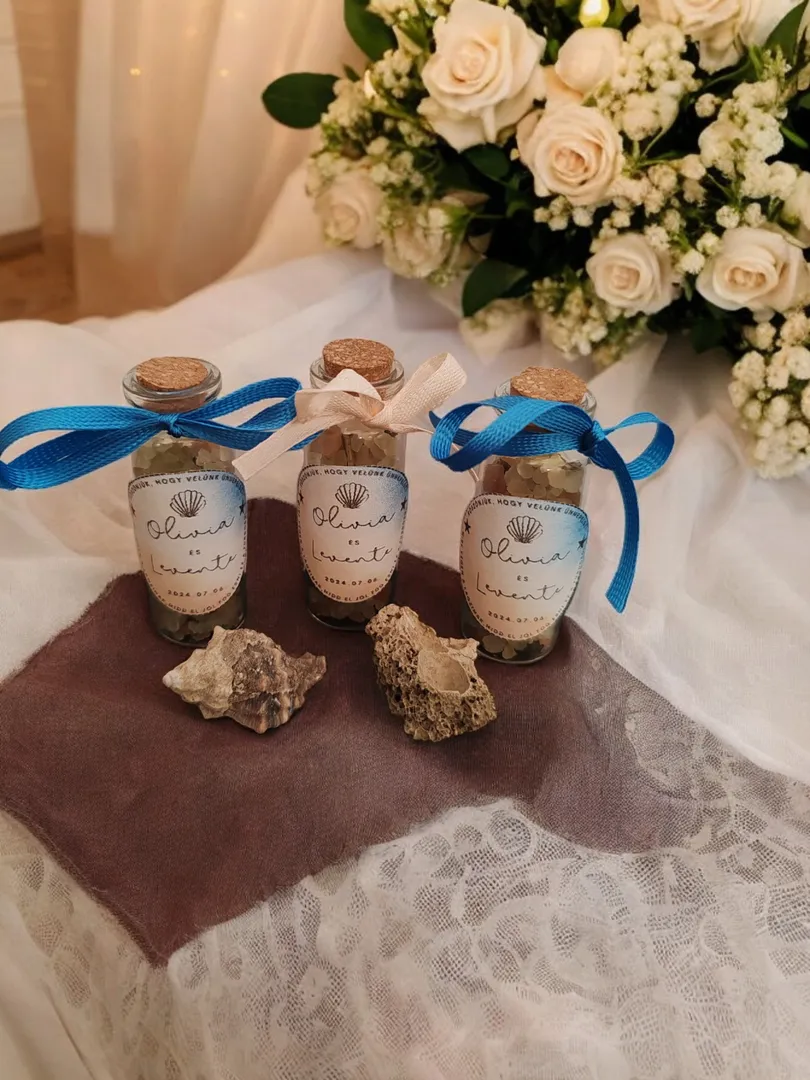 NicoleDesign portfolió 0